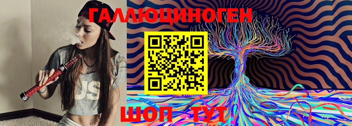 Галлюциногенные грибы Psilocybine cubensis  Вход с VPN  Галлюциногенные грибы Cubensis  Видное 